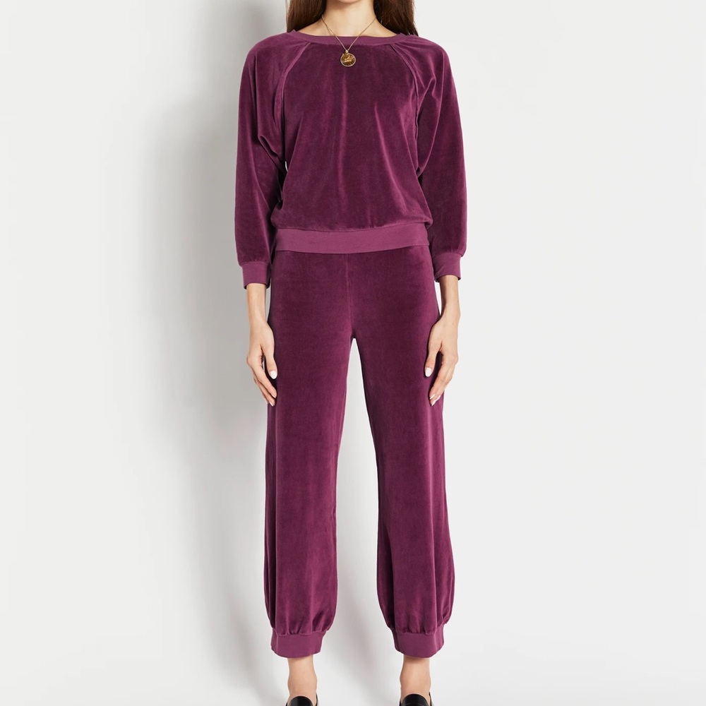 Suzi Kondi velour set. Size small. Raglan top and high waist harem pant.